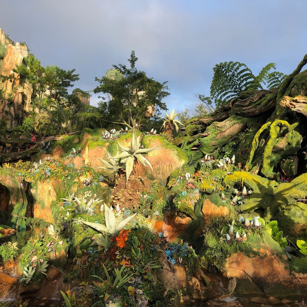 Meet your Posher, Anne